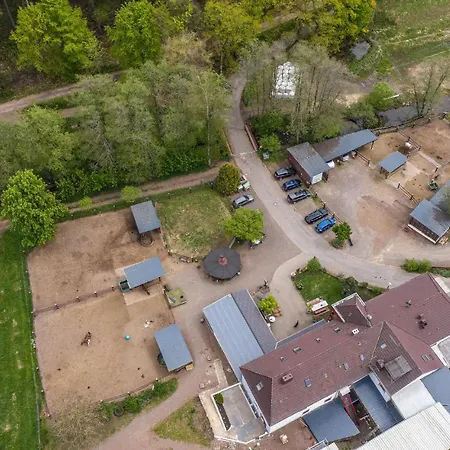 Stunning In Schutz-deudesfeld With 2 Bedrooms, Sauna And Wifi Appartement Bleckhausen